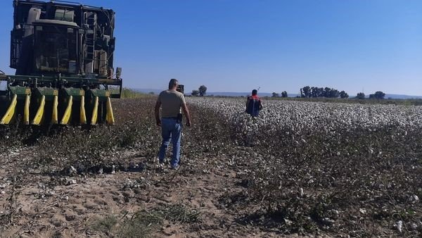 Söke’de pamuk hasat makineleri kontrol edildi