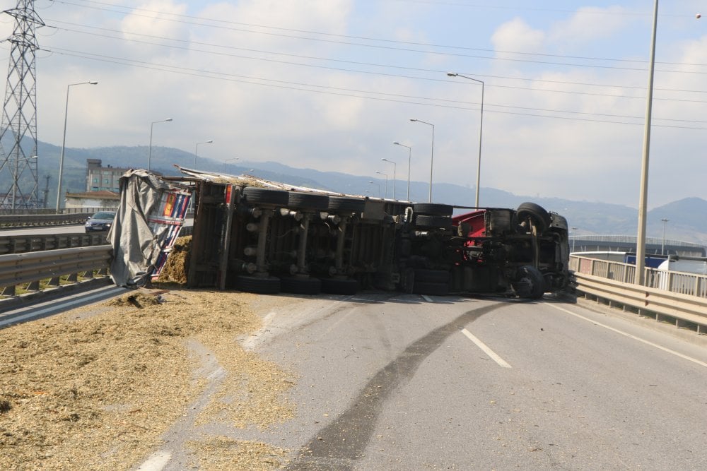 Tır sürücüsünü direksiyon başında arı soktu! Tır devrildikten sonra 50 metre sürüklendi