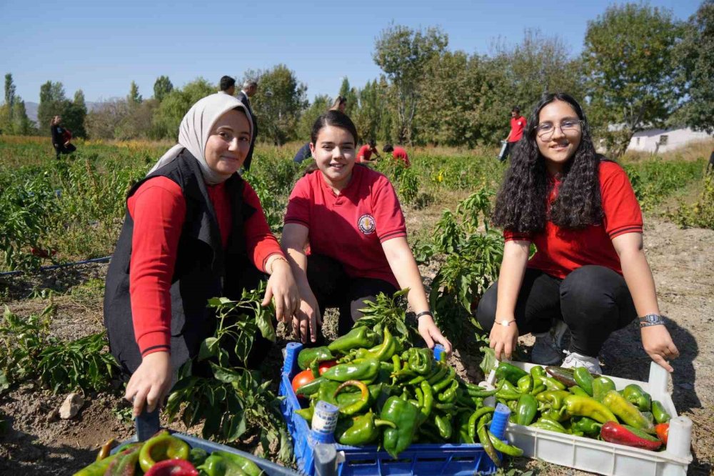 Hem öğreniyor hem üretiyor hem de kazanıyorlar