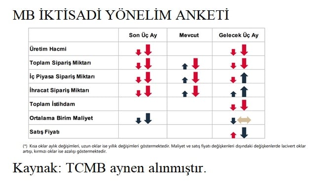 iktisadi-yonelim-anketi.jpg