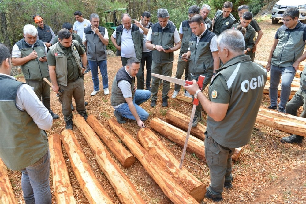 Orman ürünlerine barkod sistemi