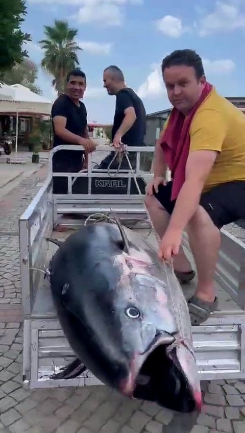 Römorka Sığmadı! Balıkçılık dünyasında uzun süre konuşulacak gibi