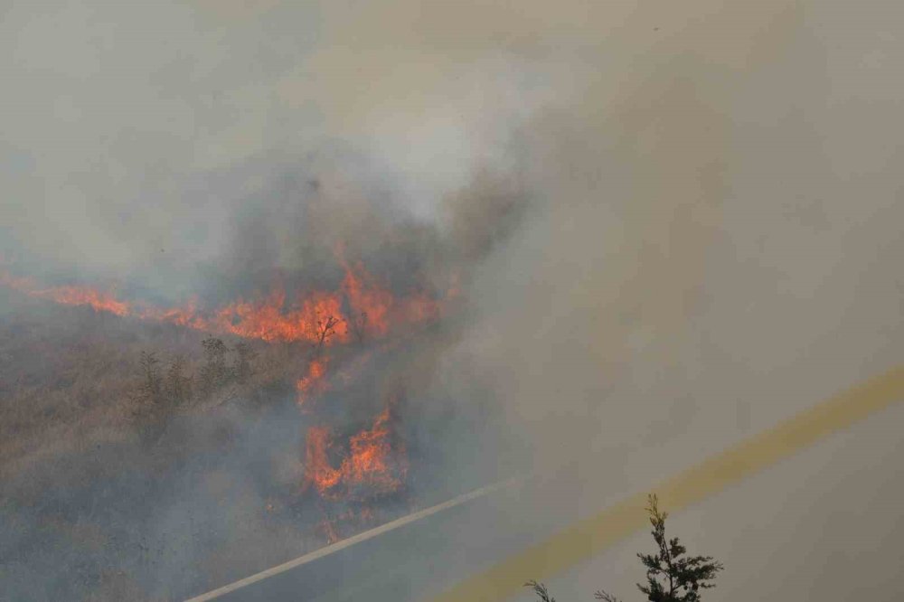 Balıkesir’de ot yangını mahalleyi tehdit etti