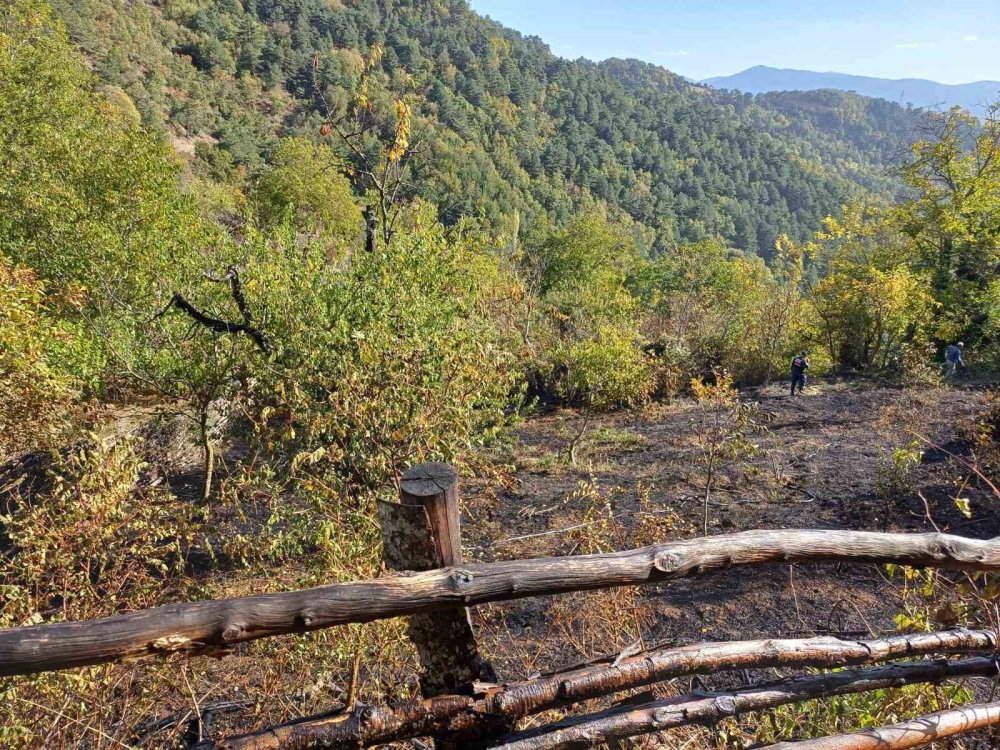 Bursa’da peş peşe orman yangını