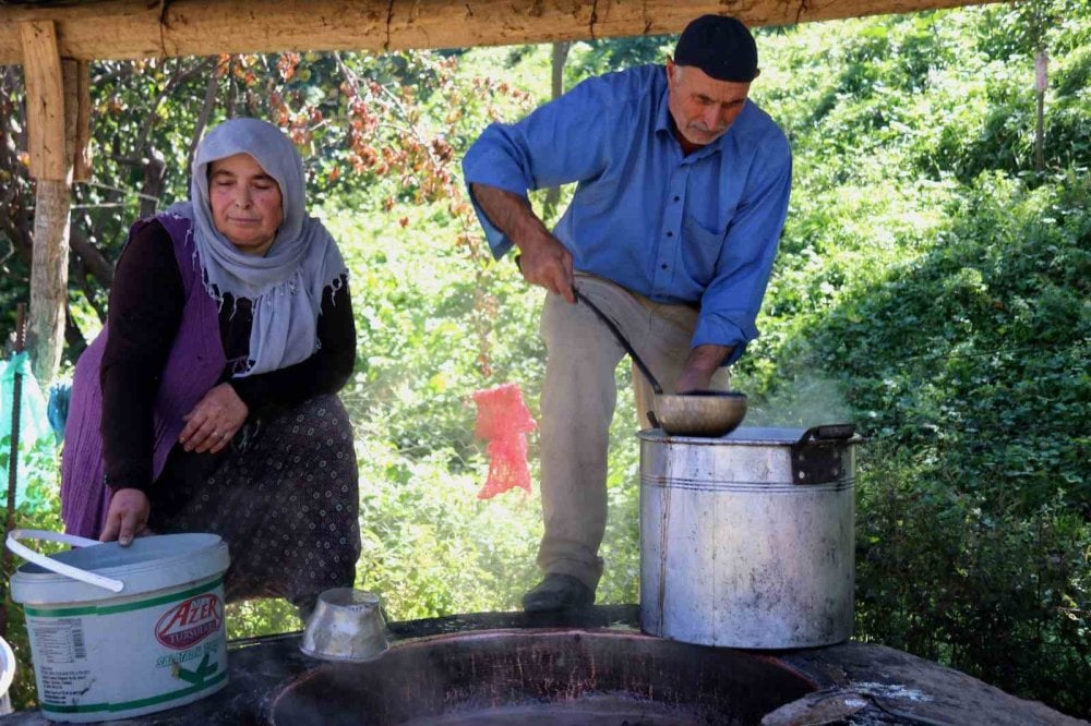 Bir çok hastalığı iyi geliyor