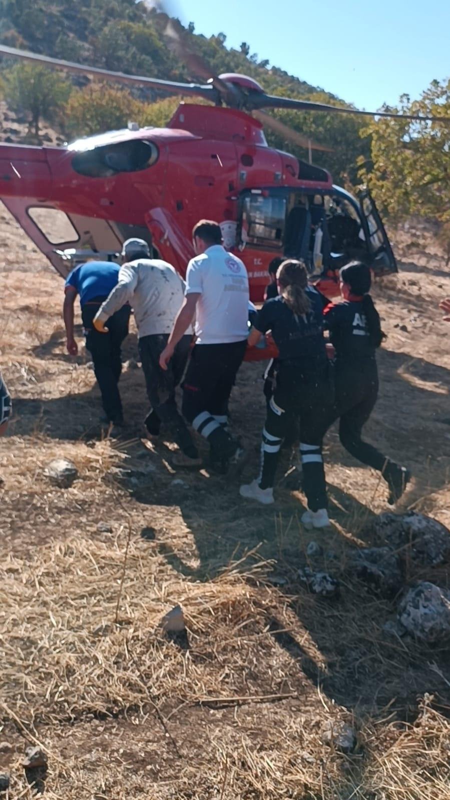 Ekipler ağaçtan düşen Efe, için seferber oldular