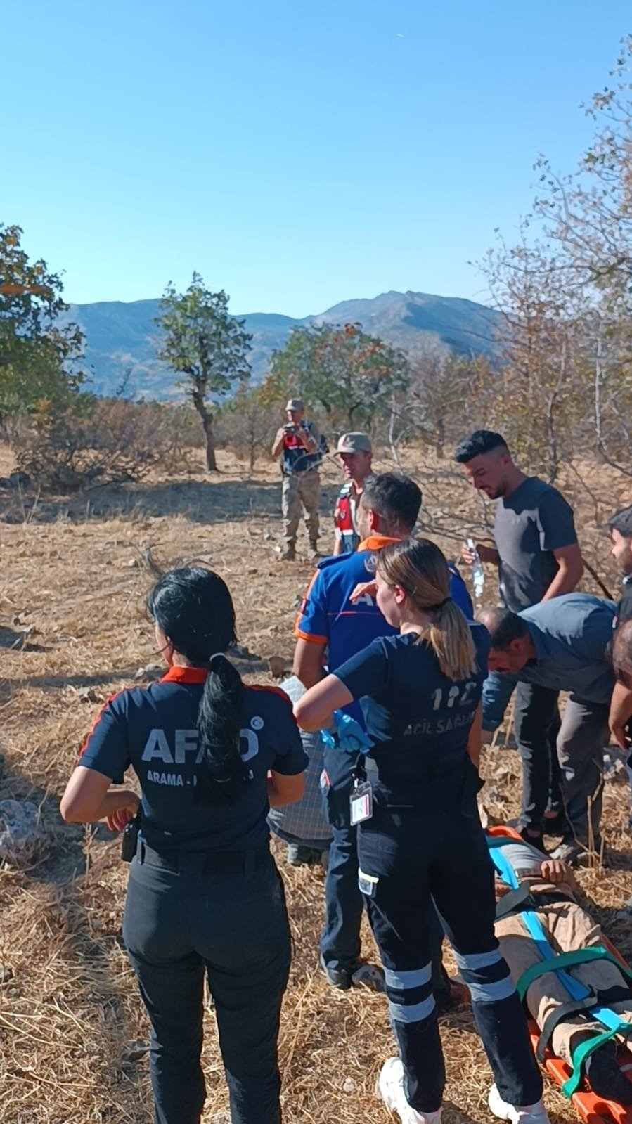 Ekipler ağaçtan düşen Efe, için seferber oldular