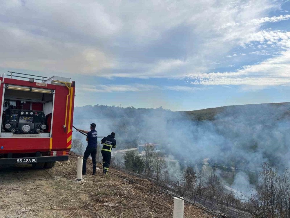 Samsun’da 3 dönümlük alanda yangın