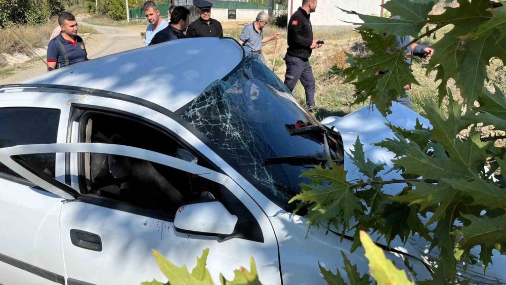 Ağaçlara çarpan otomobilin sürücüsü ağır yaralandı