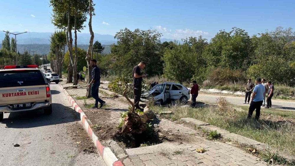 Ağaçlara çarpan otomobilin sürücüsü ağır yaralandı