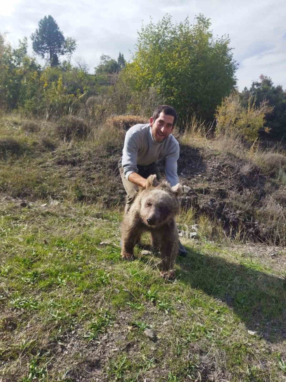 Erzurum'da yaralı yavru ayının yardımına çoban yetişti