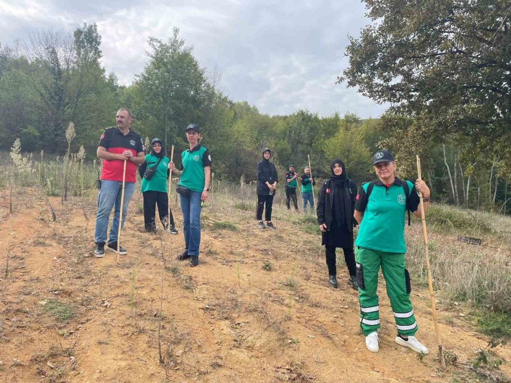 Ormanda kaybolan emekli öğretmen 14 saat sonra bulundu