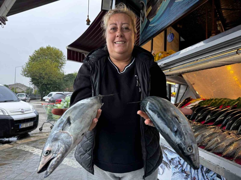 Tekneler denize seyrek çıktı, palamut azaldı