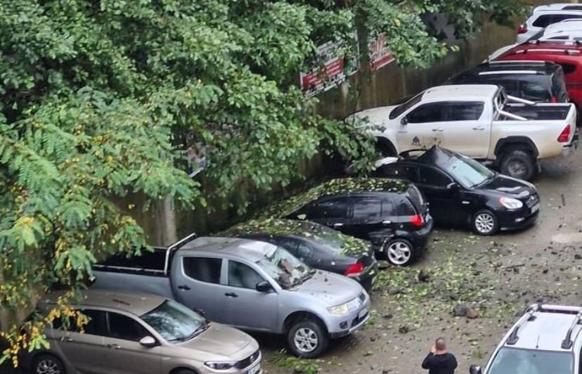 Artvin'de kopan kayalar 7 araca zarar verdi