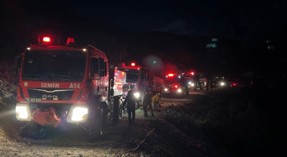 İzmir'de orman yangını 3 saatte kontrol altına alındı