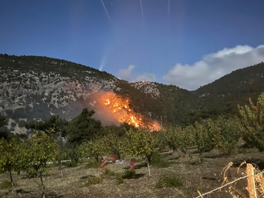 İzmir'de orman yangını 3 saatte kontrol altına alındı