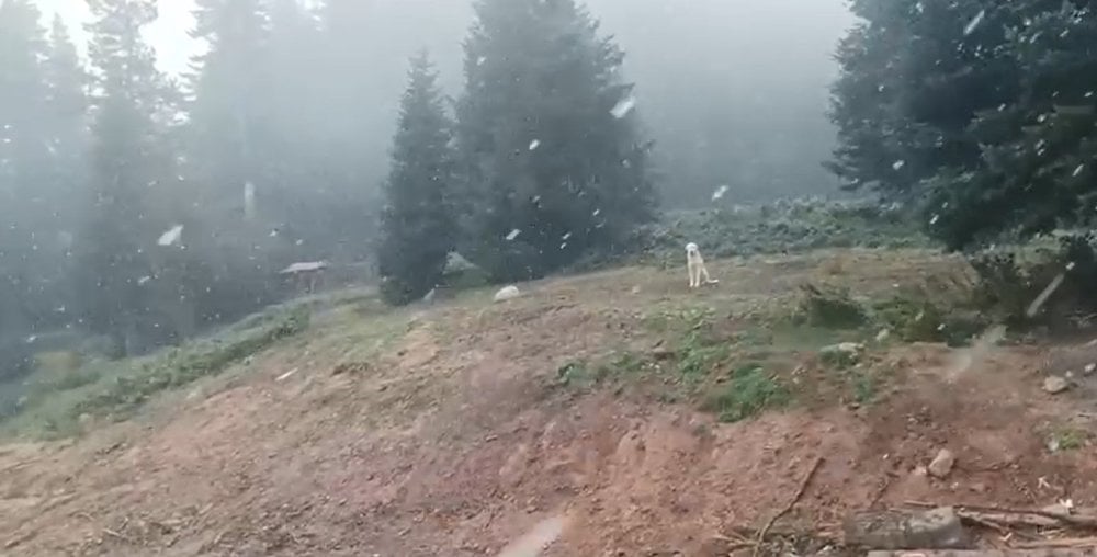 Kar, Ilgaz Dağı’na geldi