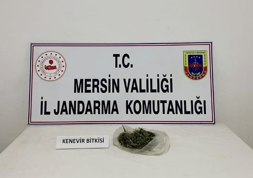 Uyuşturucu için sera kurdu Jandarmaya yakalandı