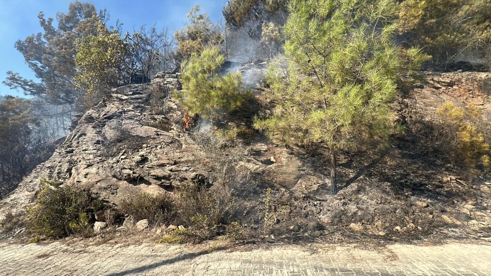 Antalya'da orman yangını