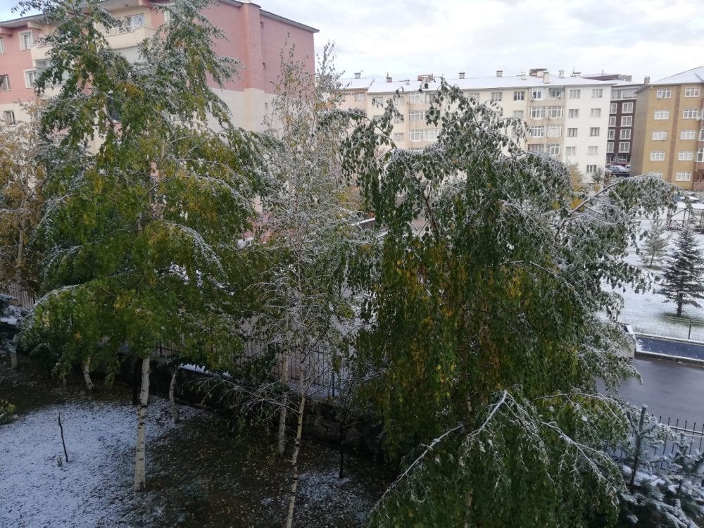 Erzurum kent merkezine mevsimin ilk karı yağdı