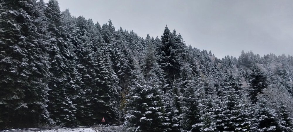 Bolu’nun yüksek kesimleri beyaza gelinliğini giydi