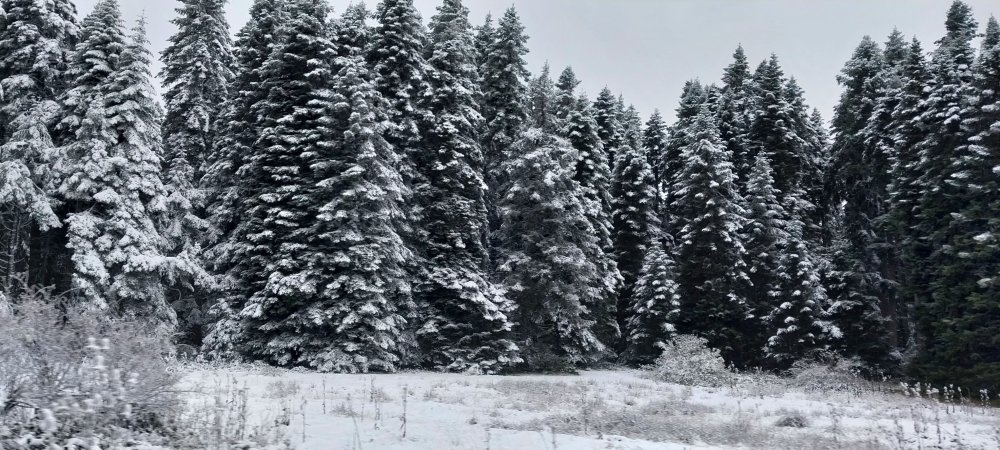 Bolu’nun yüksek kesimleri beyaza gelinliğini giydi