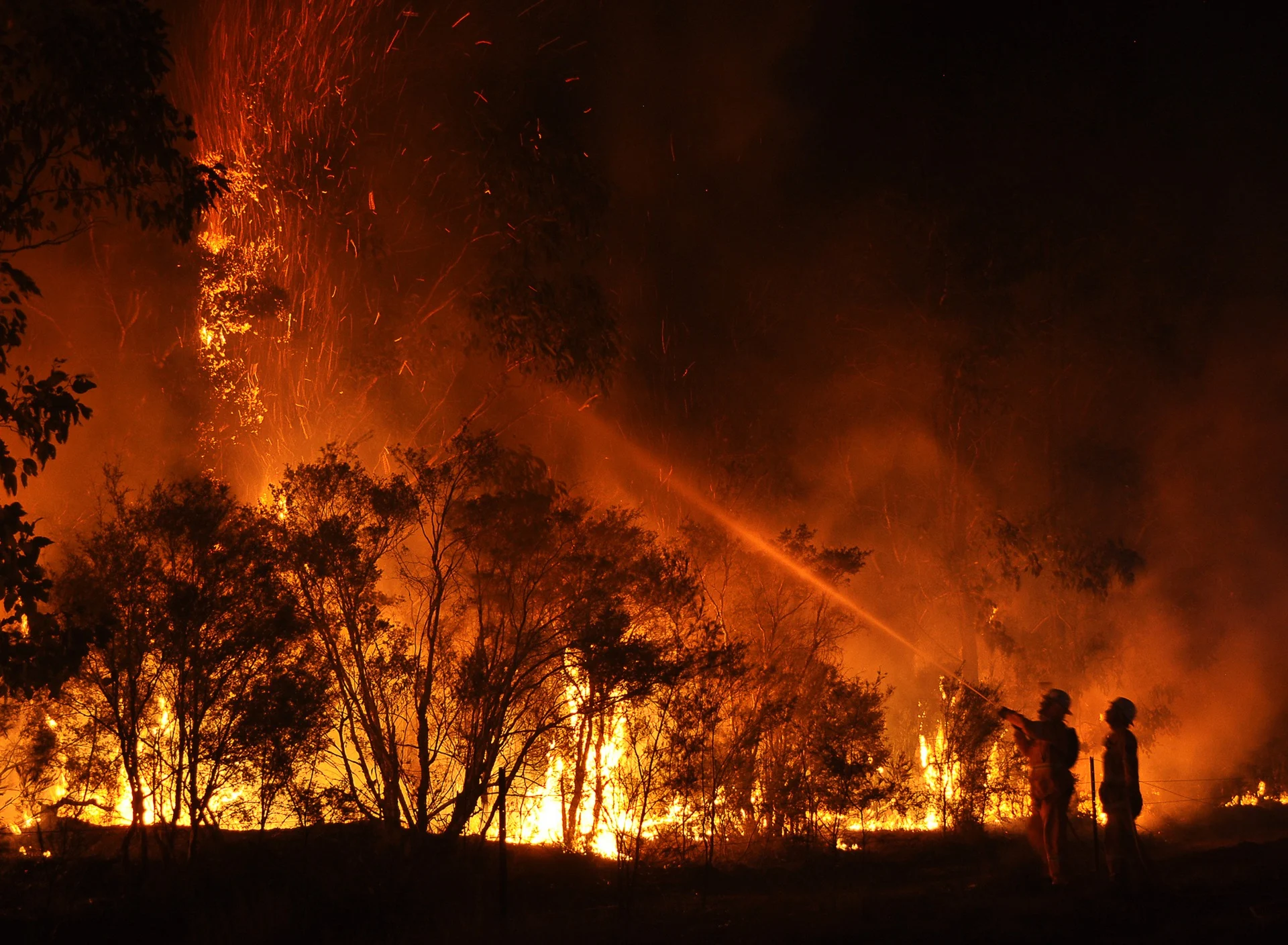 fire-fighters-at-forest-fire-c-quarrie-photography.webp