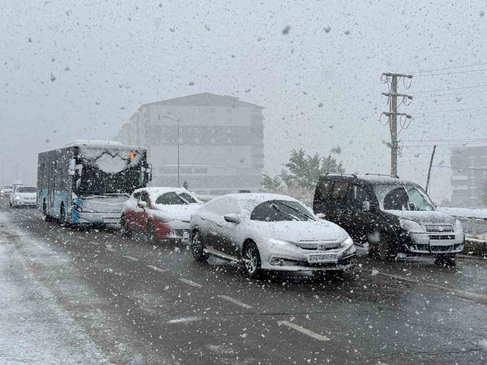 Bitlis beyaza büründü