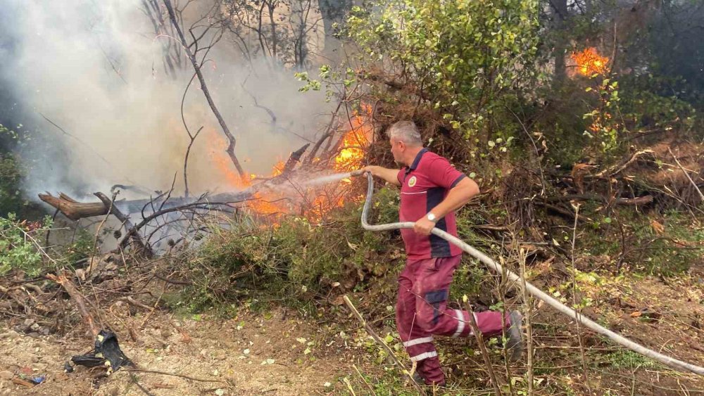 Çanakkale’deki orman yangını ile ilgili flaş gelişme