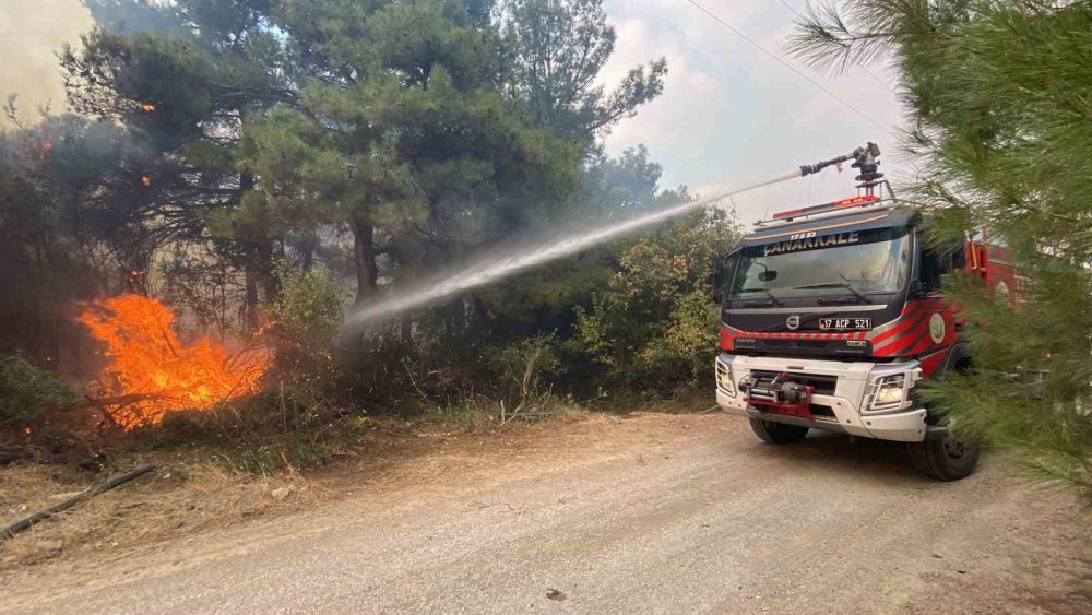 Çanakkale’deki orman yangını ile ilgili flaş gelişme