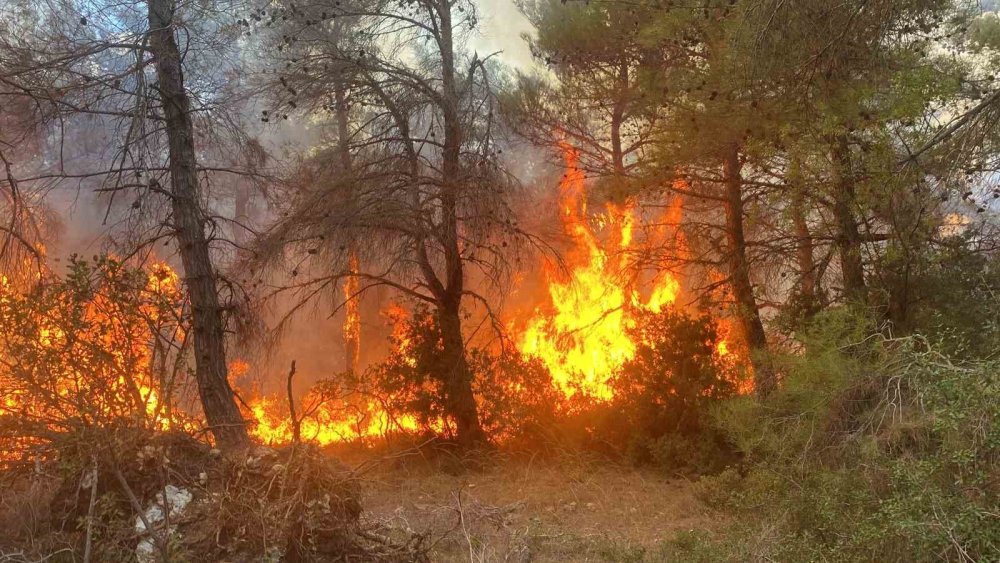 Çanakkale’deki orman yangını ile ilgili flaş gelişme