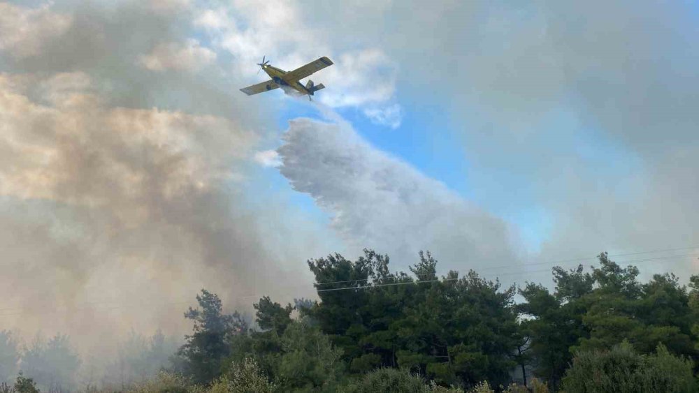 Çanakkale’deki orman yangını ile ilgili flaş gelişme