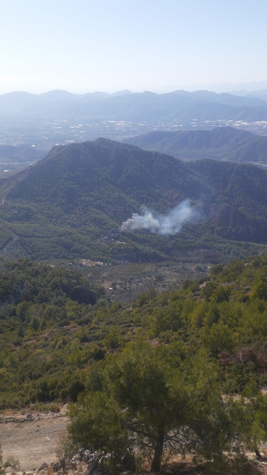 Muğla Dalaman’da orman yangını