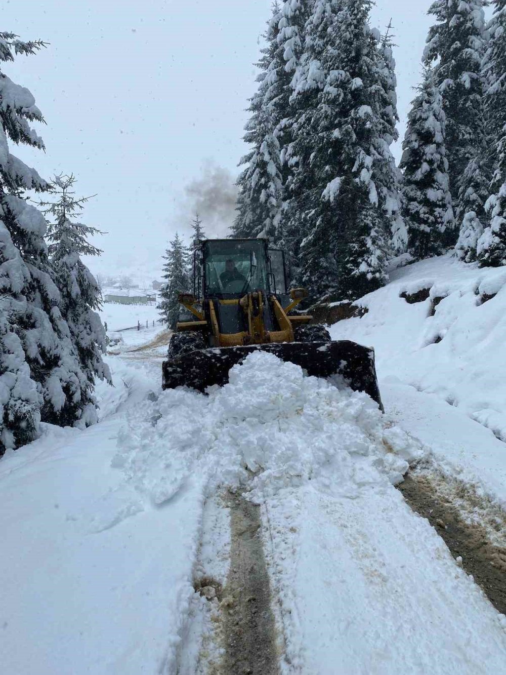 Trabzon’da kar yolları kapattı! Ekipler seferber oldu