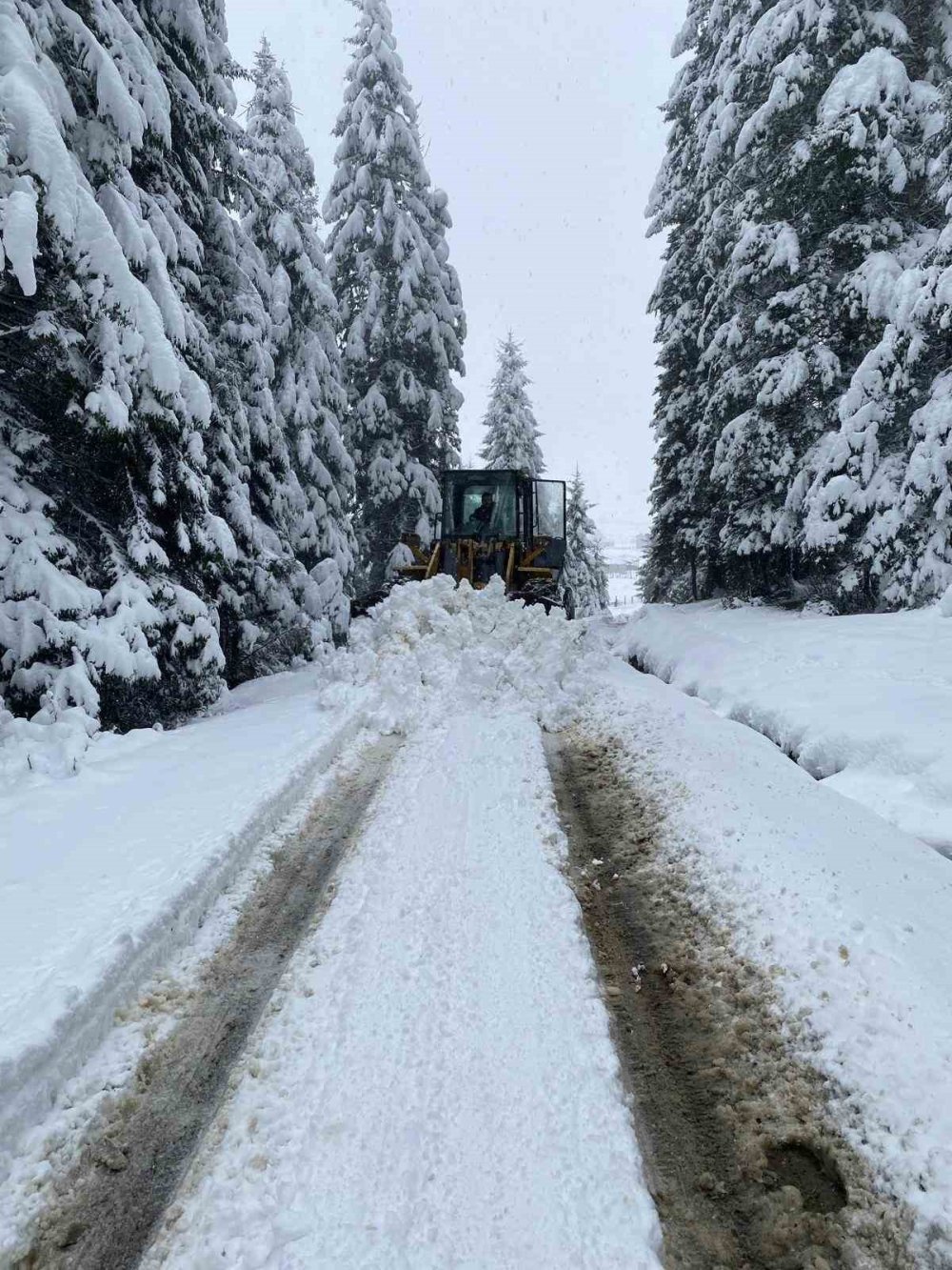 Trabzon’da kar yolları kapattı! Ekipler seferber oldu