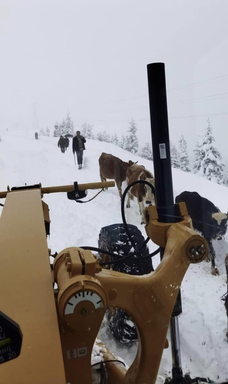 Giresun’da kar yağışı nedeniyle mahsur kalan çobanlar kurtarıldı