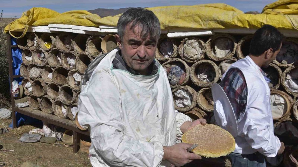 Dağlarda yetişiyor gübreyle sıvanıyor. Kilosu 2 bin liraya satılıyor