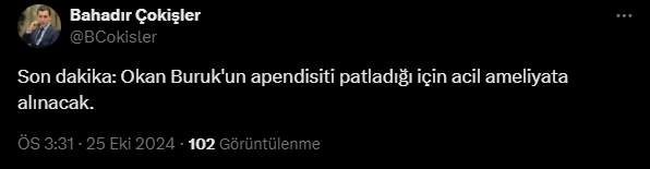 bahadir.png