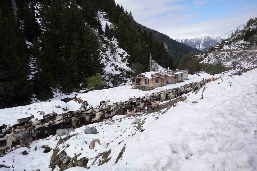 Rize’nin karlı yaylalarından kartpostallık görüntüler