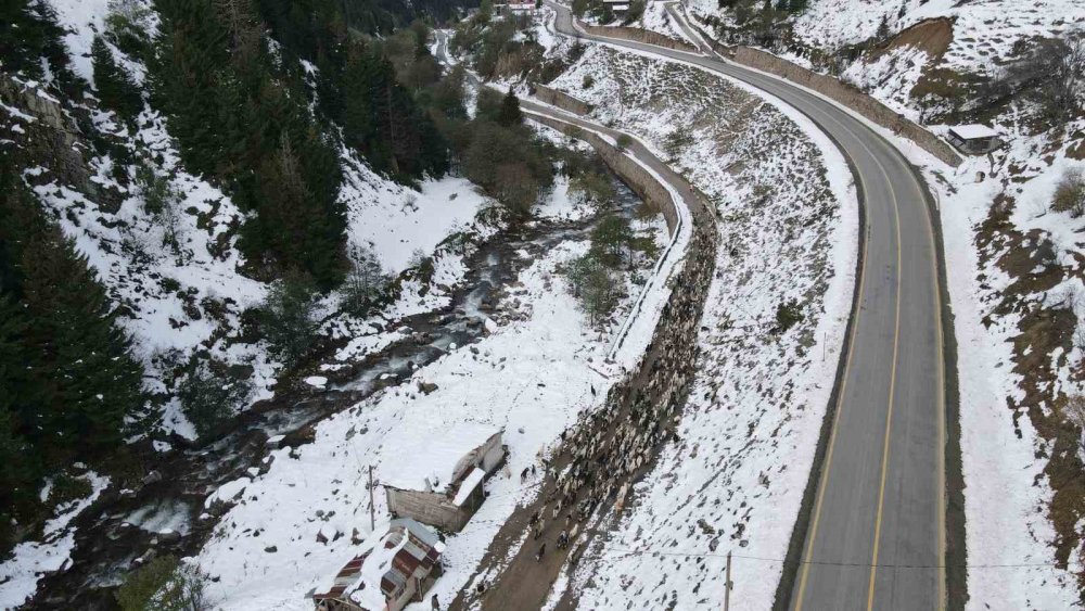 Rize’nin karlı yaylalarından kartpostallık görüntüler