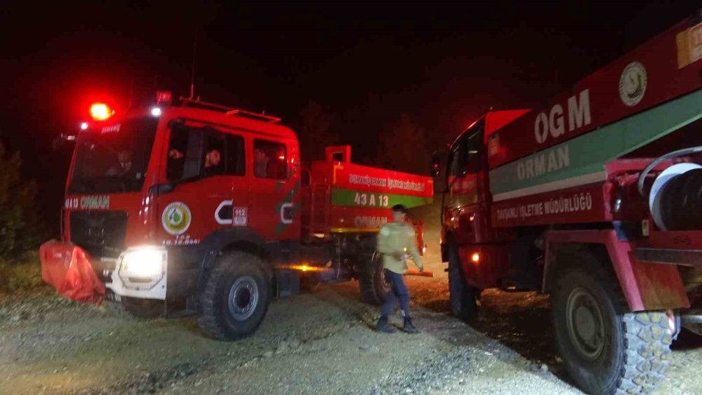 Bursa sınırındaki orman yangını söndürüldü