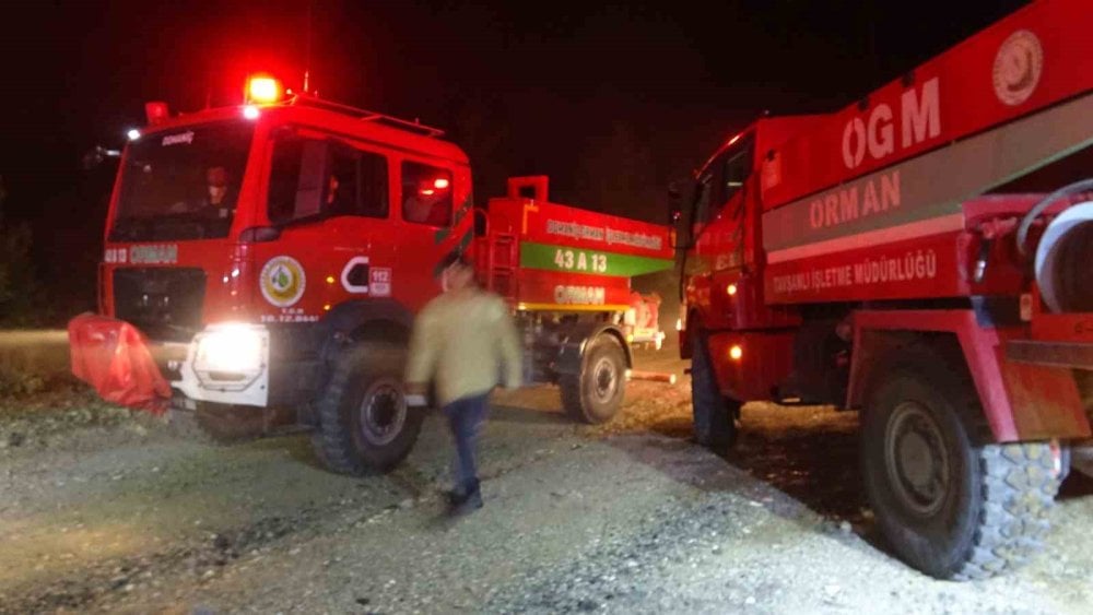 Bursa sınırındaki orman yangını söndürüldü