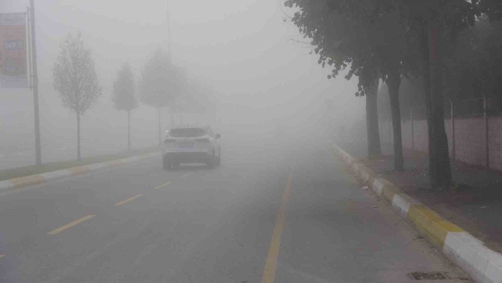 Sakarya güne sisle uyandı: Görüş mesafesi 10 metreye kadar düştü