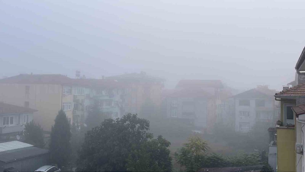 Sakarya güne sisle uyandı: Görüş mesafesi 10 metreye kadar düştü