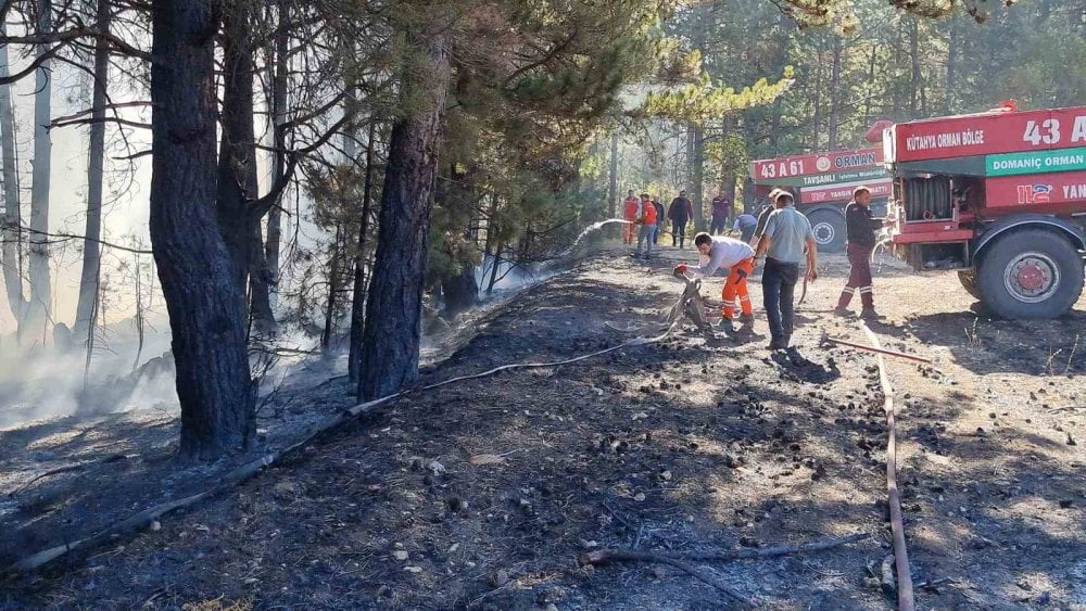 Kütahya’da korkutan yangın! Ormana sıçradı