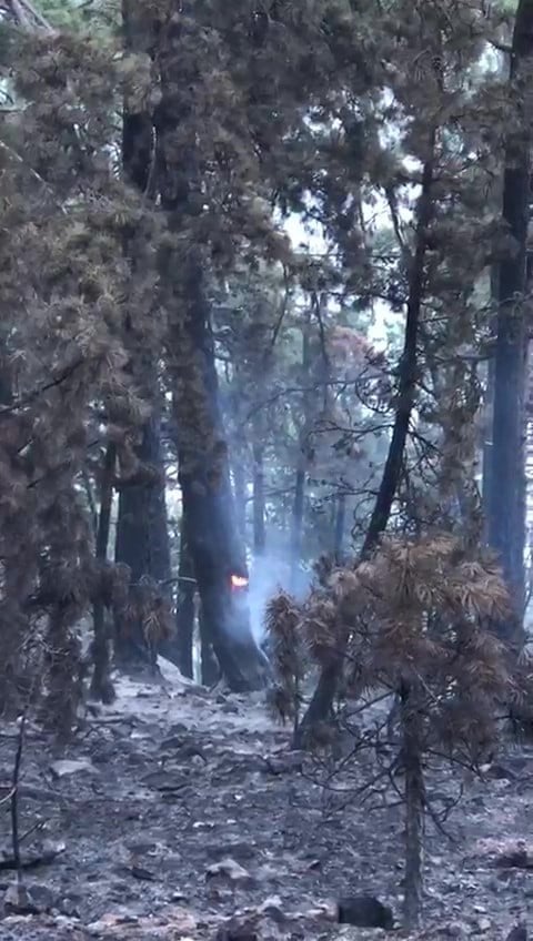 Denizli’deki günlerdir süren yangın söndürüldü