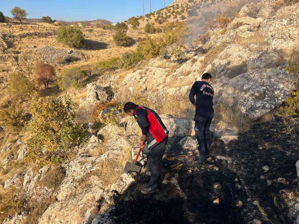 Mardin’de çıkan ot yangını söndürüldü