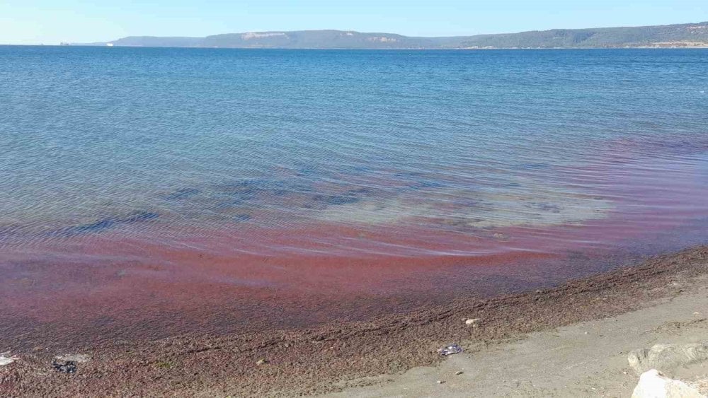 Çanakkale’de sahil kırmızıya boyandı