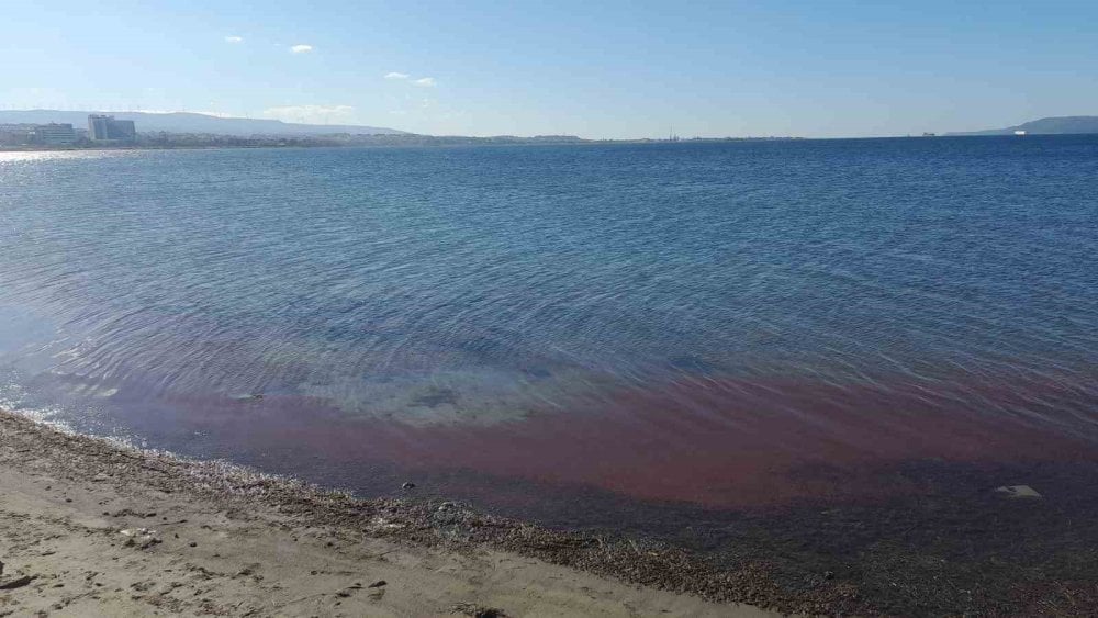 Çanakkale’de sahil kırmızıya boyandı