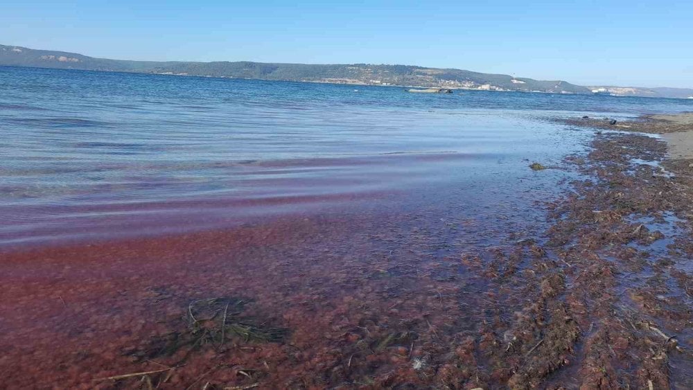 Çanakkale’de sahil kırmızıya boyandı